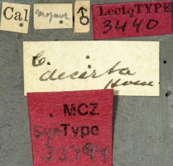 Media type: image;   Entomology 33794 Aspect: labels